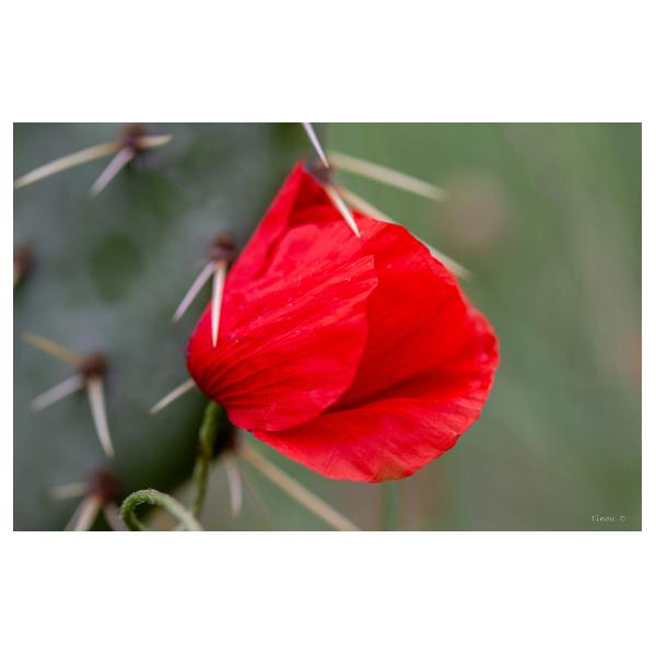 PHOTO84, CLUB, 84 , LUBERON